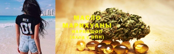 мдпв Каменногорск