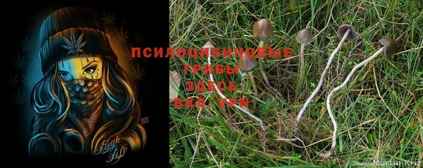 метадон Кулебаки