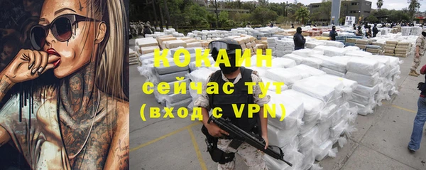 СК Кукмор