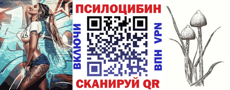 Галлюциногенные грибы Psilocybine cubensis  Микунь 