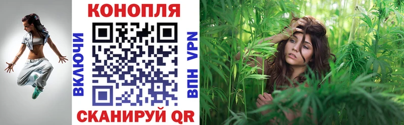 Конопля сатива  Микунь 